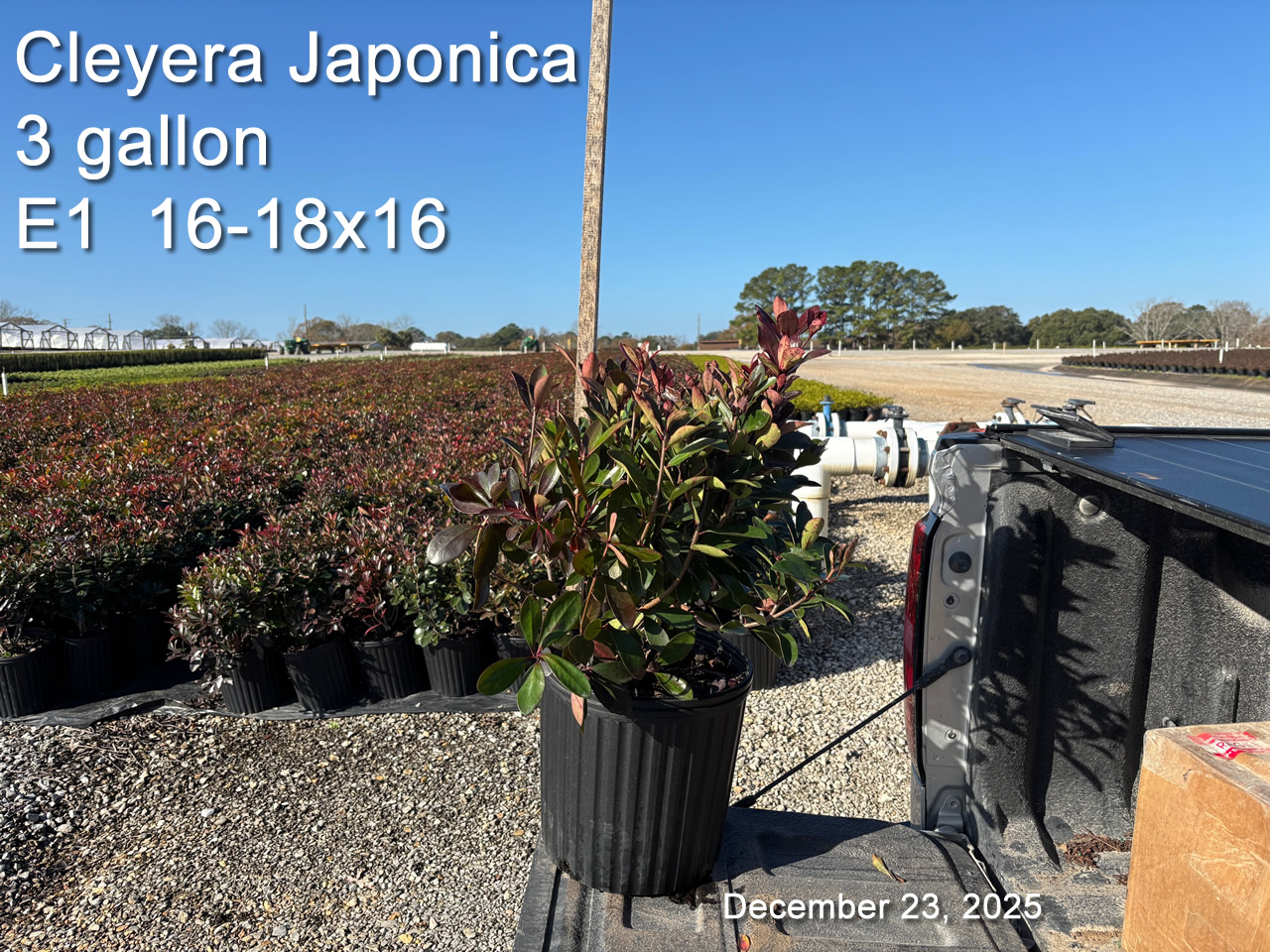 gallery/cley3 e1 dec23.jpg